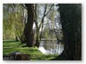 Schwentine